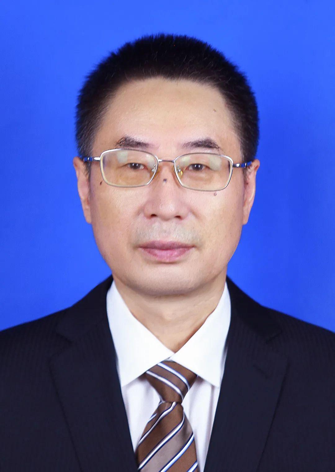 哈哈体育欧洲杯图片